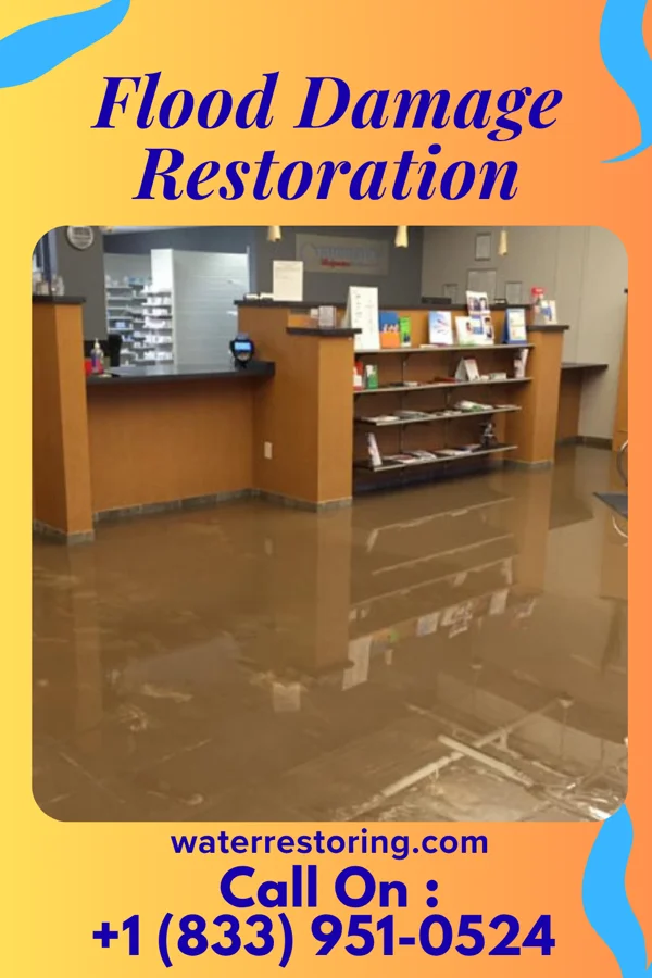 Flood Damage Restoration in Benson, IL