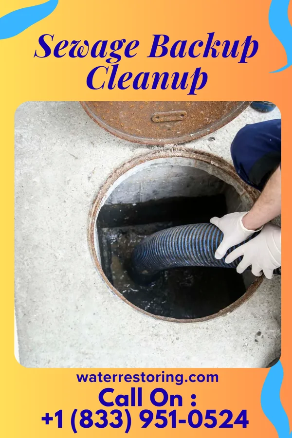 Sewage Backup Cleanup in Benson, IL