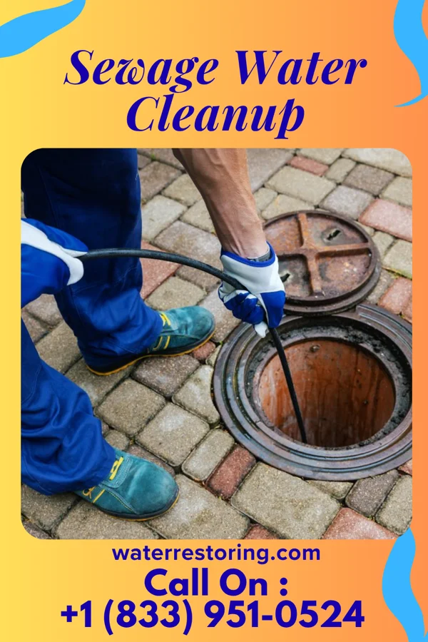 Sewage Water Cleanup in Benson, IL
